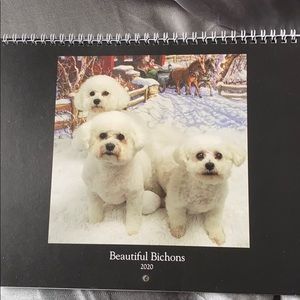 Beautiful Bichon 2020 planner/ calendar